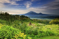 Semarang to host blue whale museum
