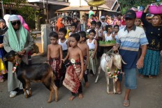 Local people parade flower-adorned goats for qurban [sacrifice] to the Mosque as part of a tradition called Mantenan Hewan [Animal Wedding] in Sebalong Village of Pasuruan, East Java, on Sept. 11. The tradition, which also includes cows, involves cleaning and decorating the animals as well as bringing staple food as alms, just like Maduranese wedding traditions, before the animals are handed over to the mosques' Idul Adha committees for slaughter. The hereditary tradition also aims to attract others to donate animals for sacrifice in the next Idul Adha. JP/Aman Rochman