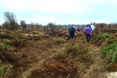 Peatland decree not pro-people, needs revision: Academics