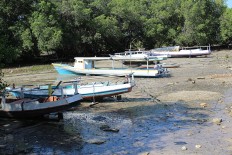 Blast fishing hurts Sawu Sea’s marine habitats