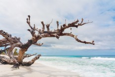 Airport operator wants to connect Darwin, Biak