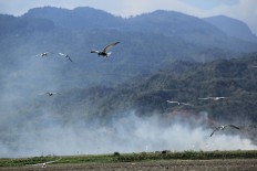 Festival held to conserve migratory birds at Limboto Lake