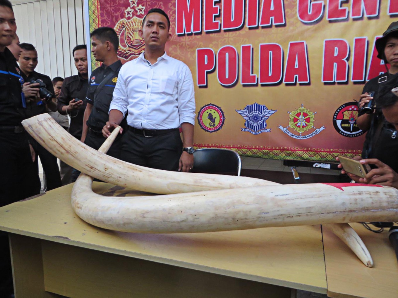 5 Riau Residents Declared Guilty Of Illegal Ivory Trade National