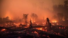 Burning peatland is seen in Palangkaraya, Central Kalimantan. Uncontrolled peat fires can spread for kilometers underground and by air, causing a deadly smog. In 2015, this resulted in one of the greatest environmental disasters of the 21st century.
