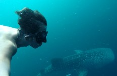 Student fulfills dream of diving with whale sharks 