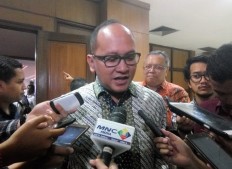 Kadin chairman files tax amnesty