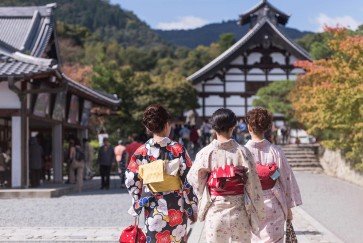 Licensed private lodgings top 10,000 in Japan, concentrated in cities
