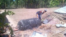 Lapan to investigate objects falling from sky in Sumenep
