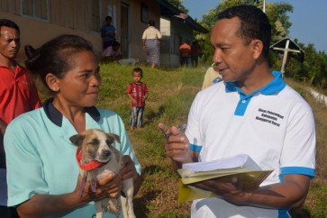 Vaccination, a humane way to control rabies on Flores, Lembata