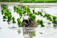 Getting ready to tackle 'superbugs' on farms, food