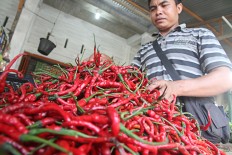 Wholesalers arrested for alleged red chili monopoly