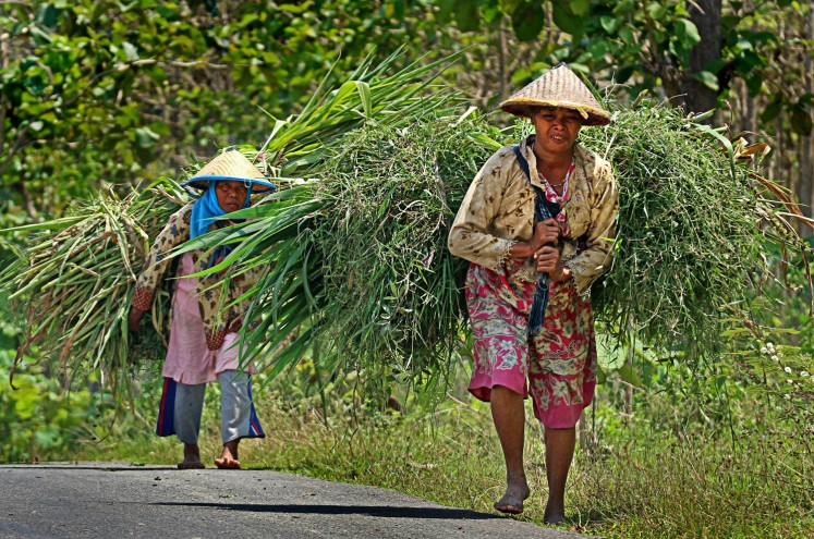 Struggle for life: Two women carry pasture grass for cattle on Oct. 3 in Parangbatu village, Tuban, East Java. Residents in the village still depend on forests for their livelihoods. 