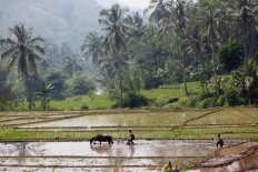 &lsquo;Nasi liwet&rsquo; for everyone: Cianjur residents celebrate regent&rsquo;s arrest