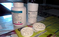 Free drugs distributed to combat lymphatic filariasis in NTT