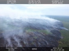 Forests required to restore peatland