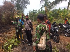 Rain extinguishes Meranti Islands forest fire