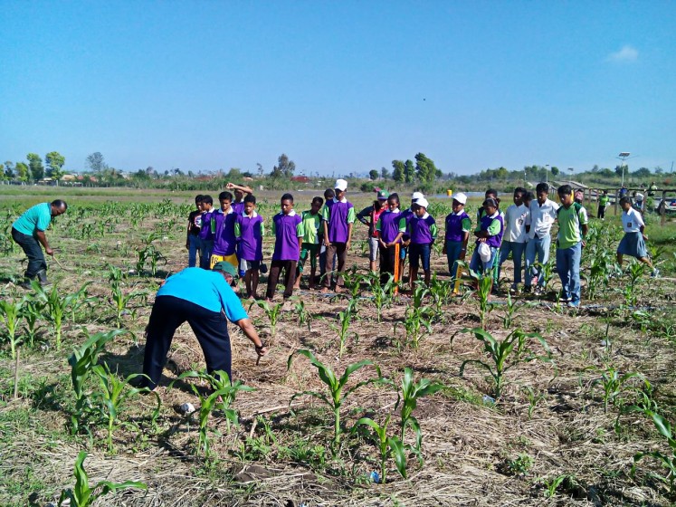 Teachers from state vocational school SMK 1 Soe show their students on how to clear land using a conservation agriculture system introduced by the Food and Agriculture Organization (FAO) Indonesia in Soe, South Central Timor, East Nusa Tenggara, on Oct.11.