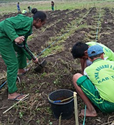 Students from SMK Negeri 1 Soe state vocational senior high school prepare a field on Oct. 11 in Soe, South Central Timor, East Nusa Tenggara, for planting corn using a sustainable crop production system introduced by the Food and Agriculture Organization (FAO) Indonesia.
