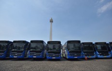 Free buses for TIM's 50th anniversary celebration