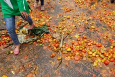 The streets of Cikareumbi Kampung were covered in tomatoes after the fight ended. JP/Arya Dipa