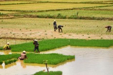 Government opens bidding for construction of three dams