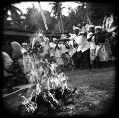 The ritual, held eight days after the Kuningan festival, celebrates the victory of dharma (virtue) over adharma (vice). Men dance in a trance during Ngusaba
Kapat in Selumbung village. Every year, according to the Balinese Hindu calendar, villagers celebrate the arrival of their ancestors in the ritual; they dance, bite and stab themselves with kris while in a trance. JP/ Agung Parameswara
