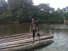 Four illegal logging suspects arrested in conservation forest