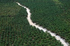 EDITORIAL: Inequality in asset ownership