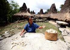 Renewable energy key to achieving 95% electricity coverage in Sumba 