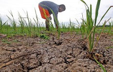 Paris and Pittsburgh, pesticides in Indonesia: When none is best