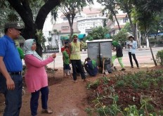 More than 11,800 potted plants damaged during Nov.4 anti-Ahok rally