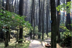 Illegal cafes in Bandung forest park finally closed 