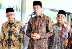 Jokowi calls on public to respect blasphemy investigation