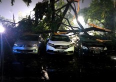 Home Ministry rejects Jakarta fund for fallen tree compensation