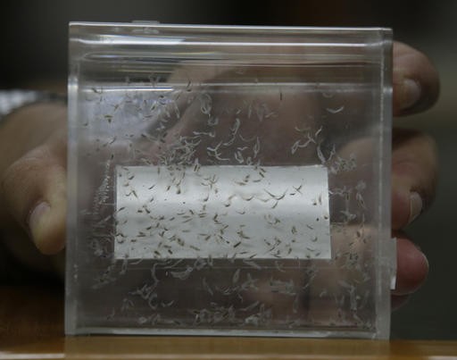 Q&A: A look at the cancer some believe linked to Vietnam War
