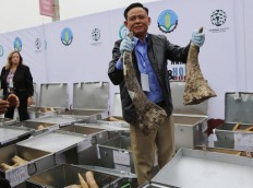 Prince William arrives in Vietnam for wildlife meeting