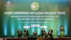 Prince William: We're still step behind wildlife traffickers 
