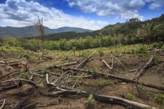 Uncertified land causes conflicts: Minister 