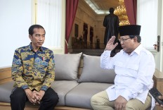 Indonesia may see more presidential contenders in 2019