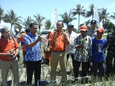 E. Lombok farmers harvest new shallot variety in rainy season