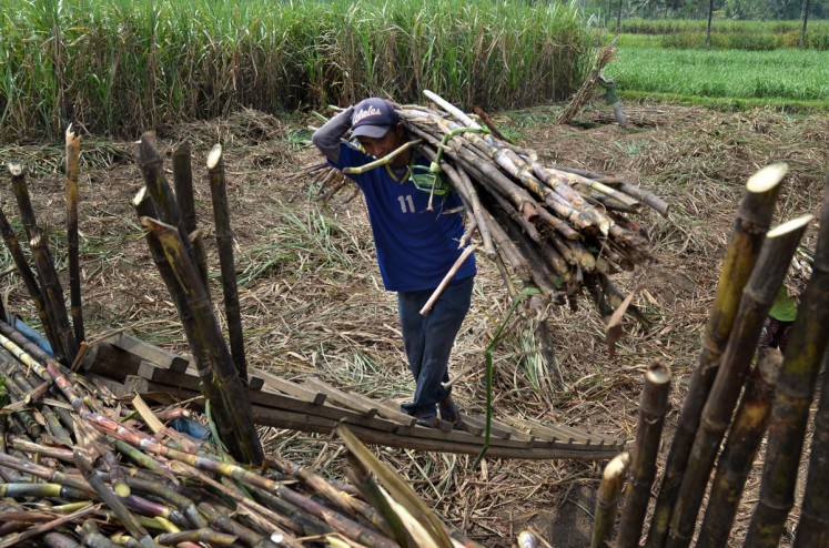 A worker loads sugarcane onto a truck during this year’s harvest season in Purwosekar village in Malang, East Java. JP/ Aman Rochman