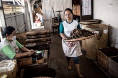 A woman carries chopped tobacco leaves at the Rizona Baru cigar factory in Temanggung, Central Java, while another worker rolls cigars. JP/Agung Parameswara
