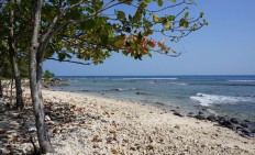 Banten administration questions slow progress of Serang-Panimbang toll road