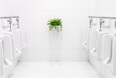 Common causes of painful urination