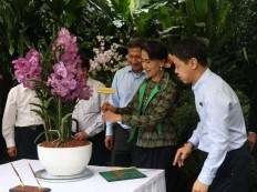 Orchid hybrid named after Aung San Suu Kyi