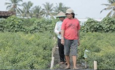 EDITORIAL: Land for the poor: What next?