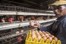 Workers sort chicken eggs at an egg farm in Cibeber, Cianjur, West Java, in this undated photograph. The farm produces 1 ton of eggs per day from 20 thousand chickens.