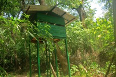 An observation tower stands inside the Hungayono conservation camp. The bird is known as a shy animal that is difficult to be documented at the wildlife. JP/Syamsul Huda M.Suhari