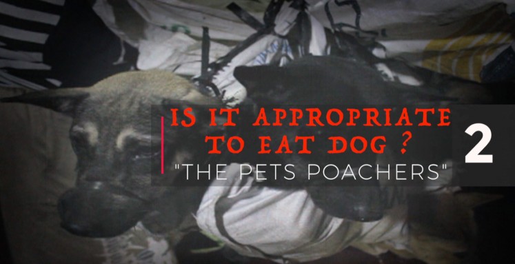 Is it appropriate to eat dog? Series 02: Pet poachers