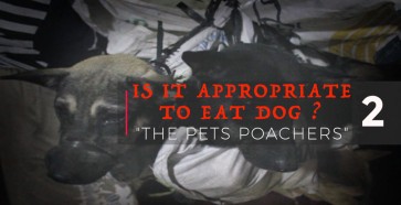 Is it appropriate to eat dog? Series 02: Pet poachers